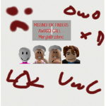 Polskie Koszulki Robloxowe