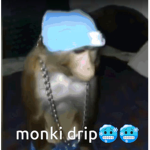 Chunki Monkeys
