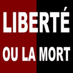 Armée Indigène