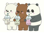 cutiebearclub