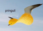 YIPI YIPI YIPI
