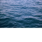 Sea's Fangroup