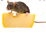 The werid