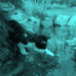 🌀