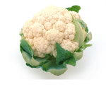 COLLIEFLOWER