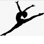 Arctic Dance Camp