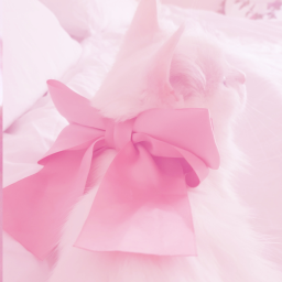 ────୨ৎ────────୨ৎ────────୨ৎ─────