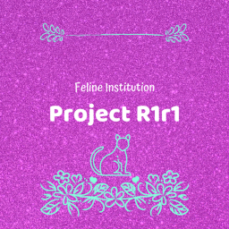 Project R1r1