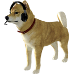 Doge Air Liners