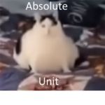 Bars Group