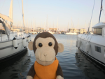 Arlo’s community