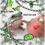Frog frog fam