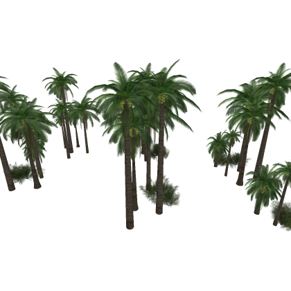 Trees / Foliage - Tropical, Jungle, Island