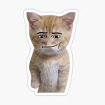 Kitty Giveaways