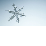 Wonderland of Winter