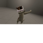 The mad cats