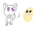 Cats & potatoes