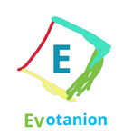 Evotanion Group