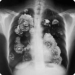 ｡ﾟ•┈୨♡୧┈• ｡ﾟ