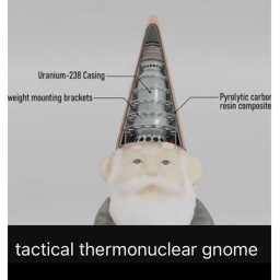 THERMONUCLEAR GNOME TEST