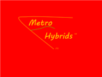 Metro Hybrids