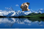 we are looking on u