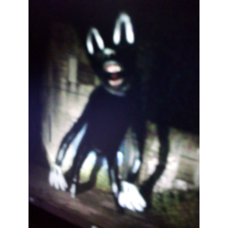 Cartoon Cat Alpha