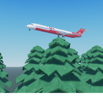 Air Bingus Flight 709