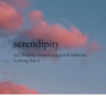 -*Serendipity*-