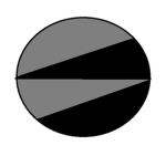 QUSA | Black Ops