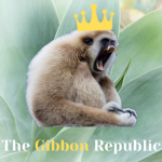 The Gibbon Republic