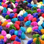 The Chicken nuggets~