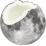 Cøcø Nat grøup