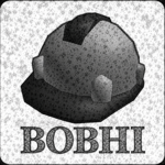 Builders of BHI