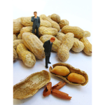The Peanut Coalition