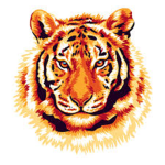 Tiger Squad21