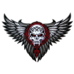 Raging Hornets Elite || Competitive Phantom Forces