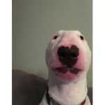 _+_