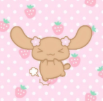 Kittycore Store’s