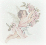 ୨୧ Angelsweetrose ୨୧