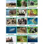 Leapord geckos and more!