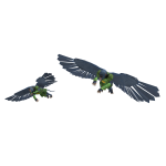 Flying Monkey Aura - Wicked Official