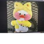 Duckies for life squad