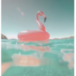 aloha malibu