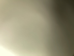 Ŵ.Ď.Ś.$