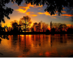 Nature Lovers Group!
