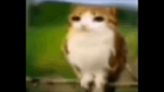 Ugc Of Ra