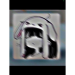 -########## KID$-