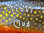 Trout club