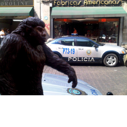 Bigfoot squad's City